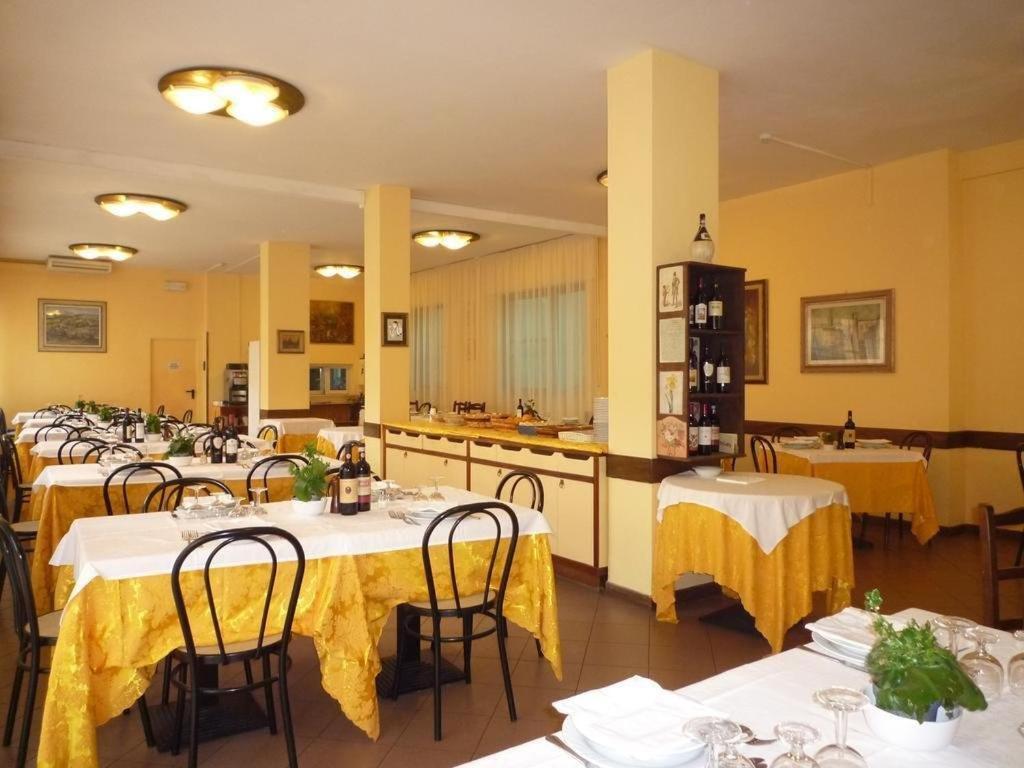 Hotel Stella D'Italia Viareggio Ngoại thất bức ảnh